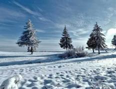 kaiyun-英雄联盟四川总決(jué)赛全球顶尖战队对決(jué)