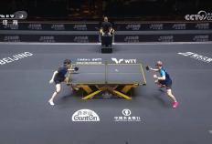 开云体育APP下载-王楚钦，三冠王！