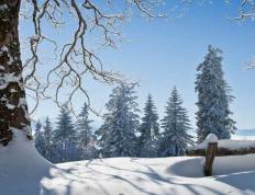 开云体育在线-网球大满贯赛事精彩对决