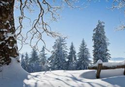 开云体育在线-网球大满贯赛事精彩对决