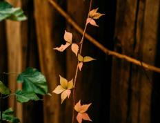 开云-亮点「十月(yuè)·金秋」精彩活动集锦来啦~