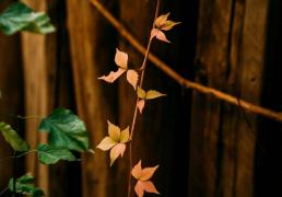 开云-亮点「十月(yuè)·金秋」精彩活动集锦来啦~