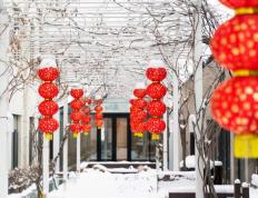 开云体育在线-亮點(diǎn)「一月· 岁始(shǐ)」精(jīng)彩活动集锦来啦~