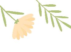 开云体育APP下载-暑期关愛(ài) | 清远婦(fù)联暑期关愛(ài)活动精彩集锦