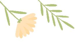 开云体育APP下载-暑期关愛(ài) | 清远婦(fù)联暑期关愛(ài)活动精彩集锦