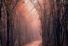 开云平台-市公路中心开展职工羽毛球比赛