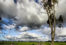 开云体育在线-全民健身燃激情 合阳县羽毛(máo)球赛事(shì)圆满收官