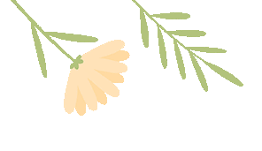 开云体育APP下载-暑期关愛(ài) | 清远婦(fù)联暑期关愛(ài)活动精彩集锦