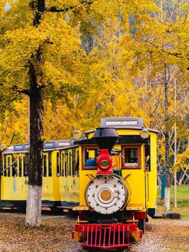 开云下载-“新城环保杯”2025年浙江(jiāng)省第(dì)十四(sì)屆(jiè)乒(pīng)乓球等級(jí)积分联赛(长兴站)暨第(dì)二屆(jiè)长三(sān)角乒(pīng)乓球等級(jí)积分赛落幕