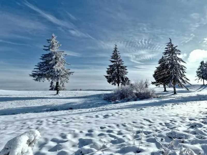 kaiyun-英雄联盟四川总決(jué)赛全球顶尖战队对決(jué)