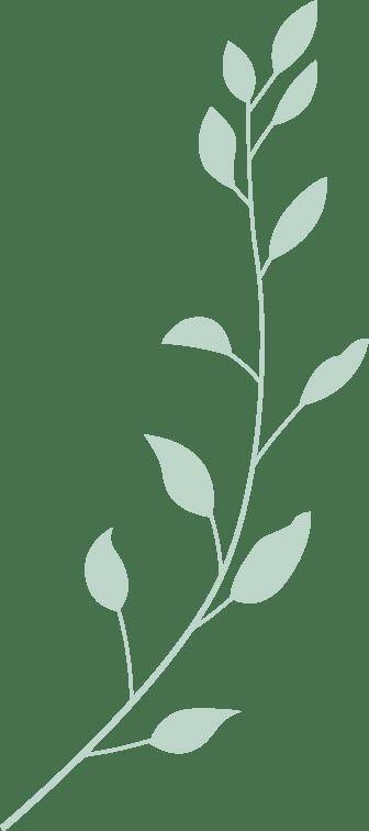 开云平台-见面會(huì)精彩集锦新鲜出炉！