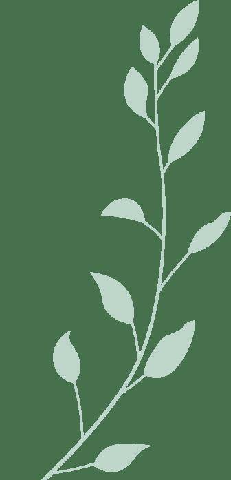 开云平台-见面會(huì)精彩集锦新鲜出炉！