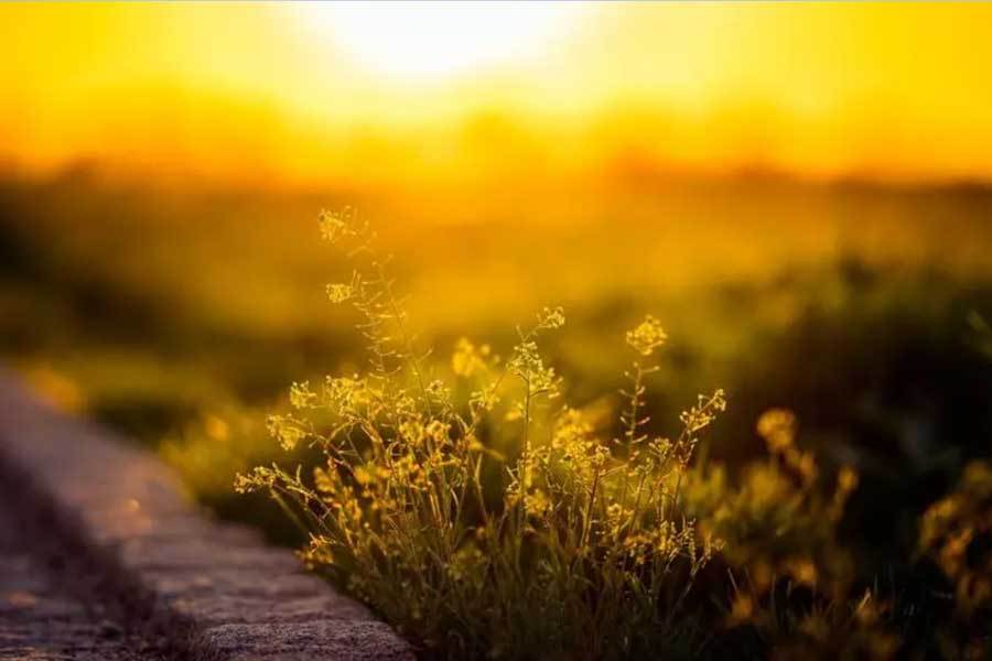 开云体育在线-网球大满贯赛事精彩对决