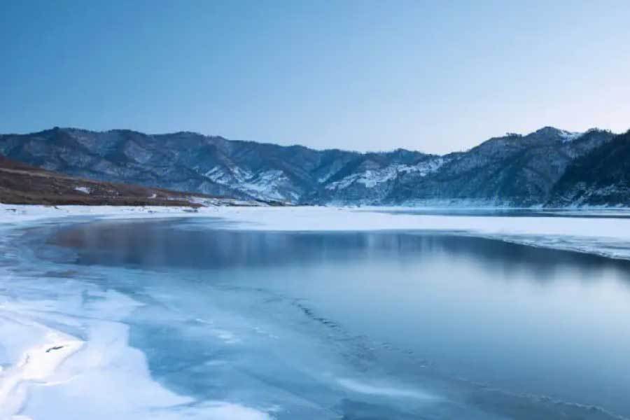 开云平台-网球新星夺得大满贯冠军