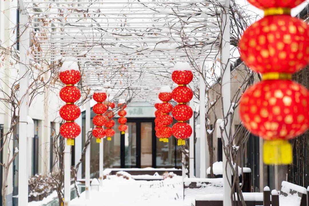 开云体育在线-亮點(diǎn)「一月· 岁始(shǐ)」精(jīng)彩活动集锦来啦~